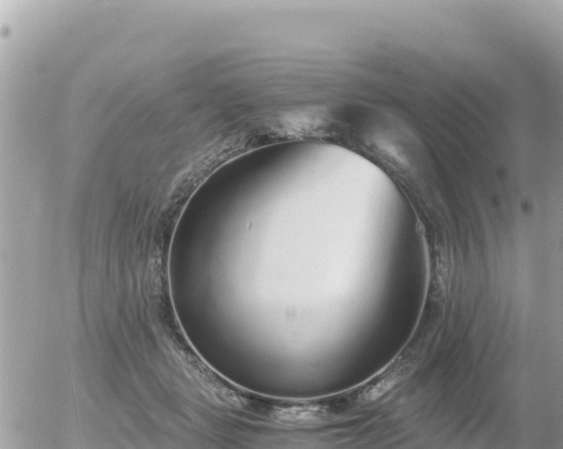 X0000056000461200508261754