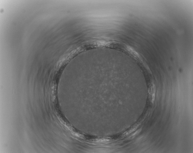 X0000056000462200508261754