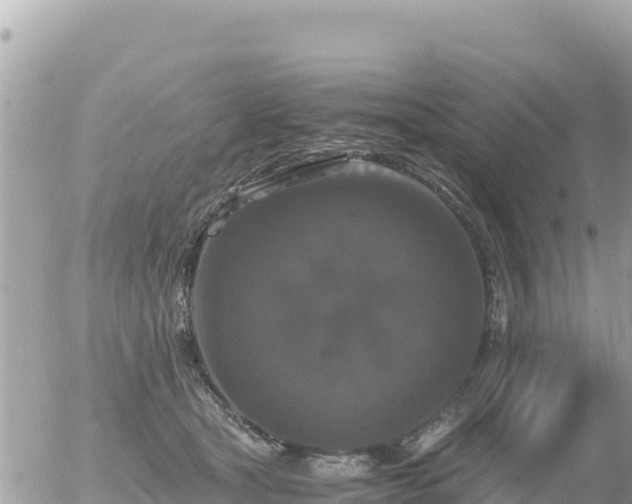 X0000056000465200508261754