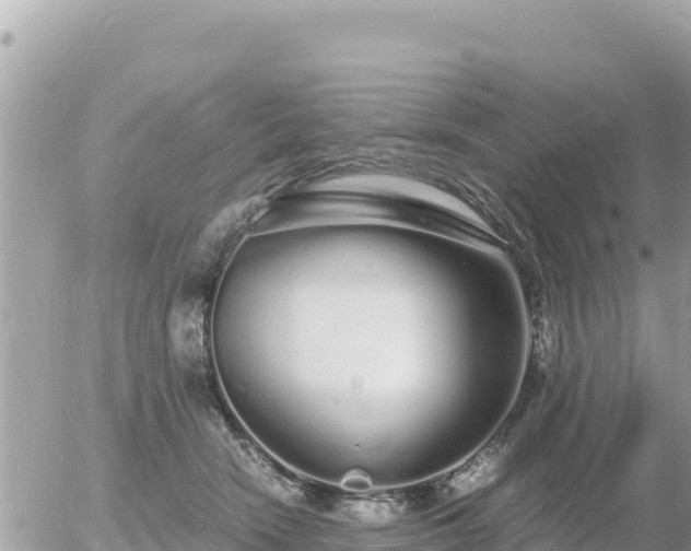 X0000056000466200508261754