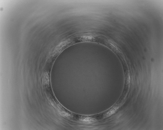 X0000056000467200508261754