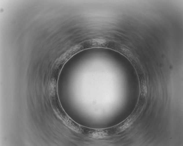 X0000056000468200508261754