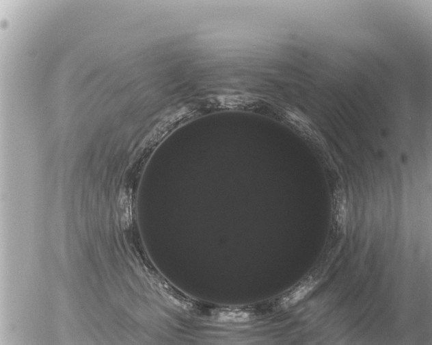 X0000056000471200508261754