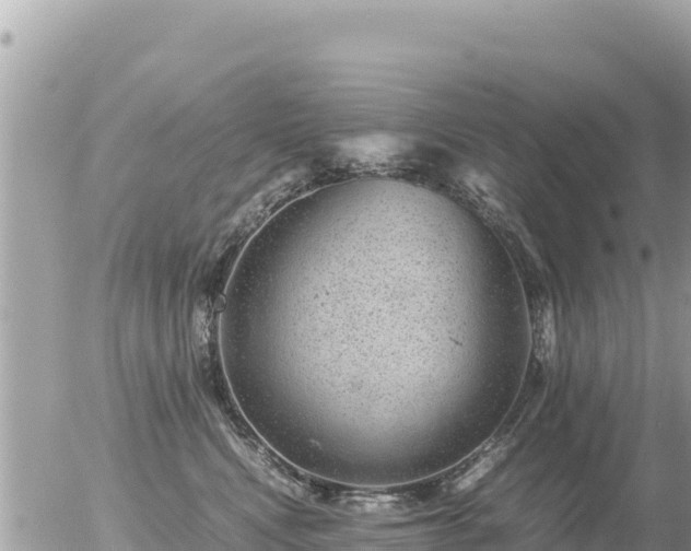 X0000056000472200508261754