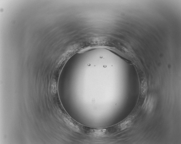 X0000056000474200508261754