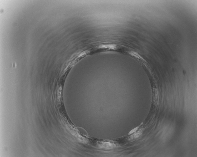 X0000056000475200508261754