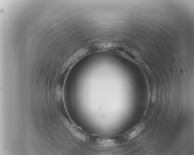 X0000056000476200508261754