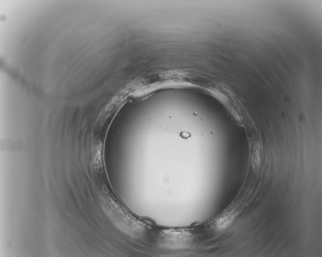 X0000056000477200508261754