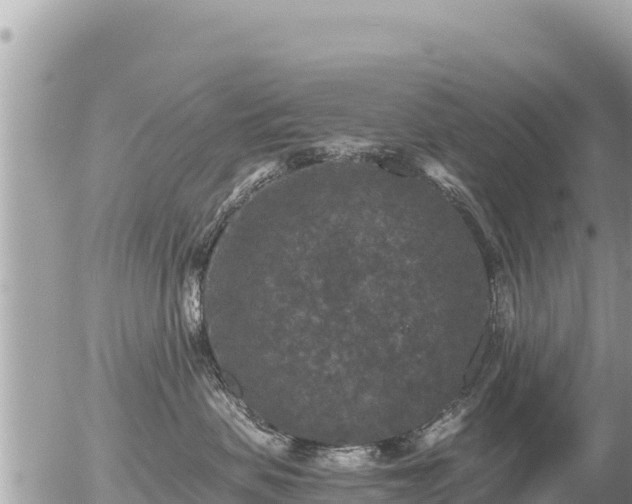 X0000056000479200508261754