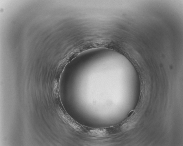 X0000056000480200508261754