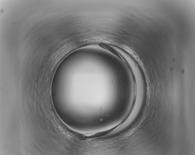 X0000056000481200508261753