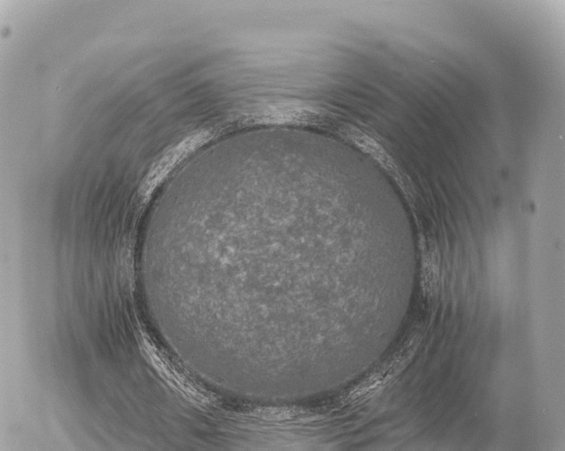 X0000056000482200508261753