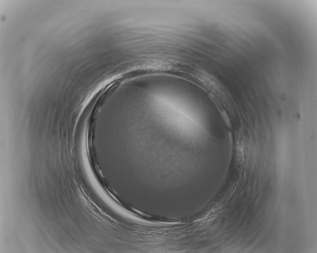 X0000056000484200508261753