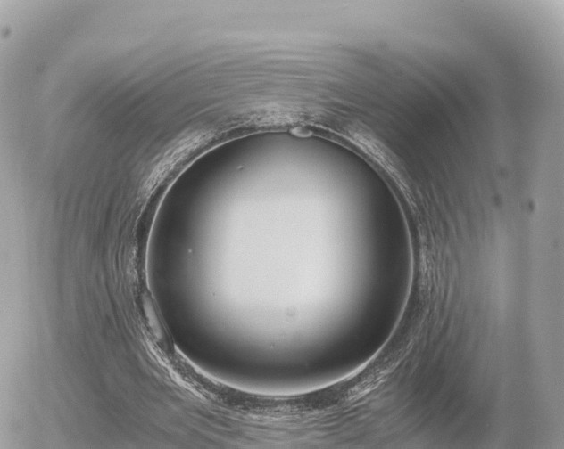 X0000056000485200508261753