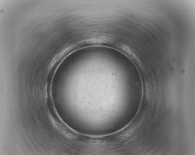 X0000056000486200508261753