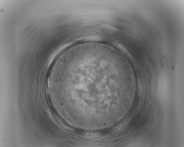 X0000056000487200508261753