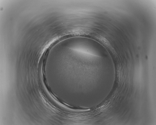 X0000056000488200508261753