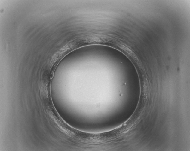 X0000056000489200508261753