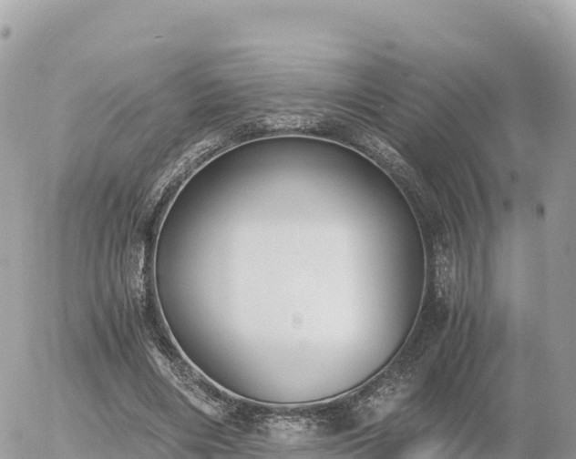 X0000056000490200508261753