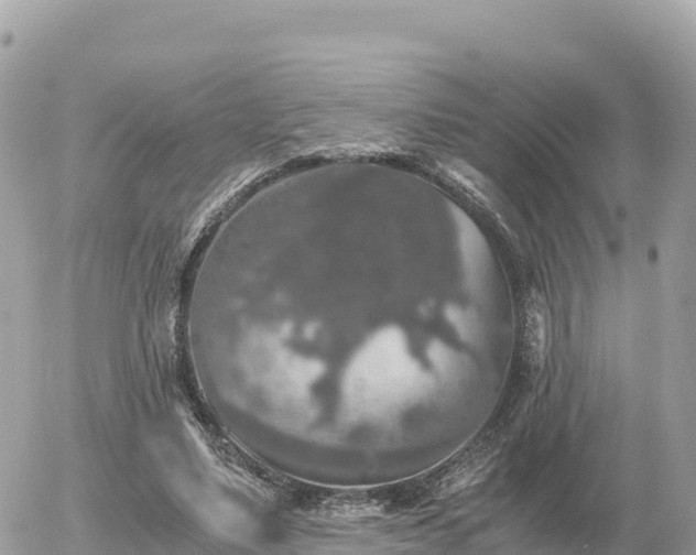 X0000056000491200508261753