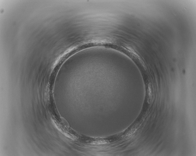 X0000056000492200508261753