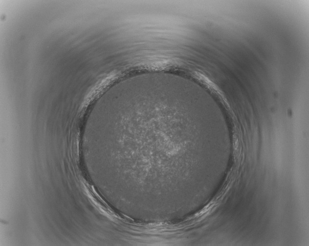 X0000056000493200508261753