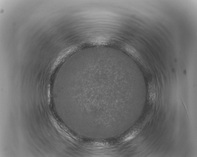 X0000056000494200508261753