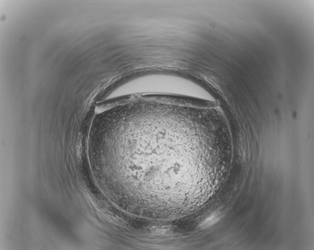 X0000056000495200508261753