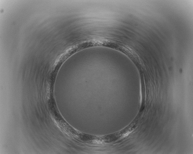 X0000056000496200508261753