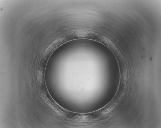 X0000056000497200508261753