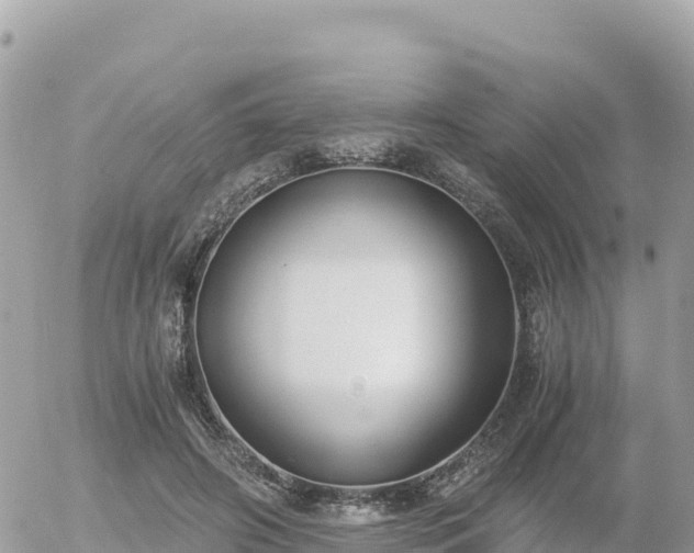 X0000056000498200508261753