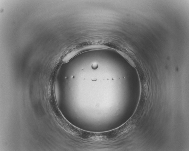 X0000056000499200508261753