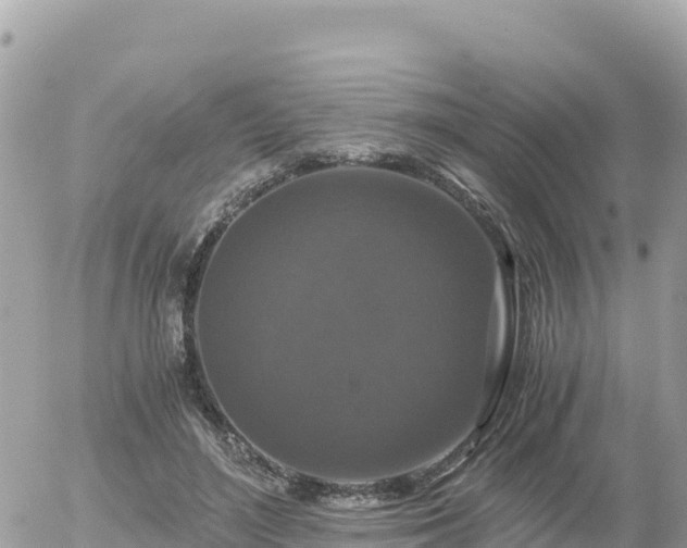 X0000056000500200508261753