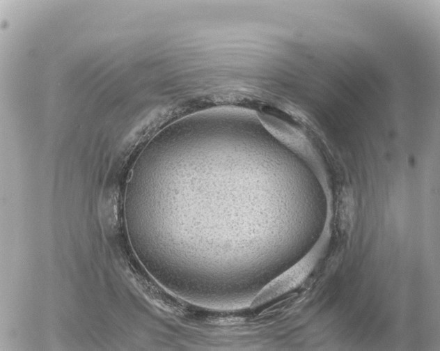 X0000056000501200508261753