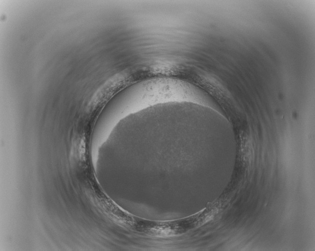 X0000056000502200508261753