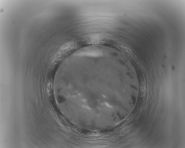 X0000056000503200508261753