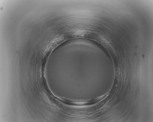 X0000056000504200508261753