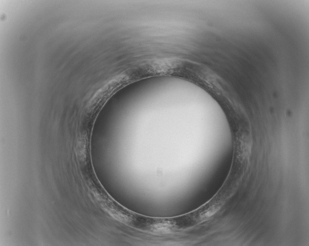 X0000056000505200508261753