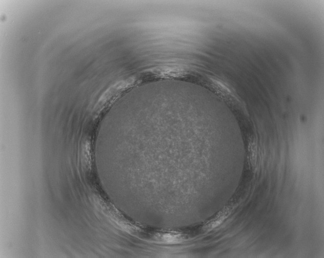 X0000056000506200508261753