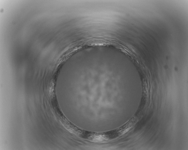 X0000056000507200508261753