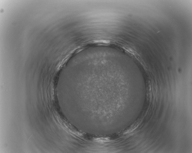 X0000056000508200508261753