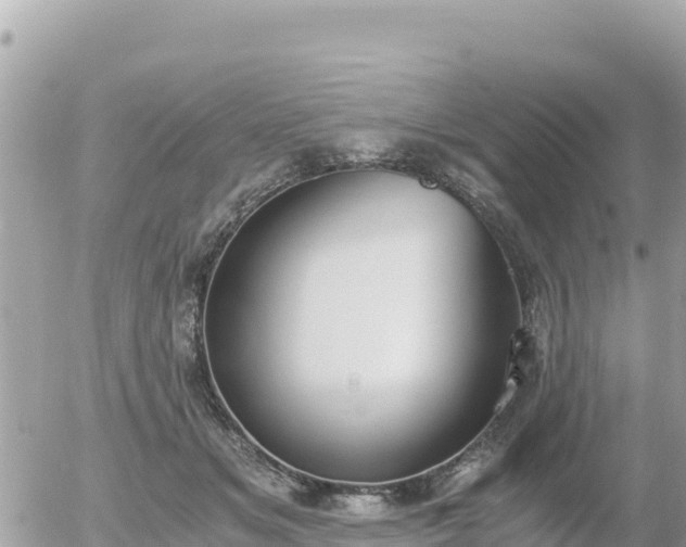 X0000056000509200508261753