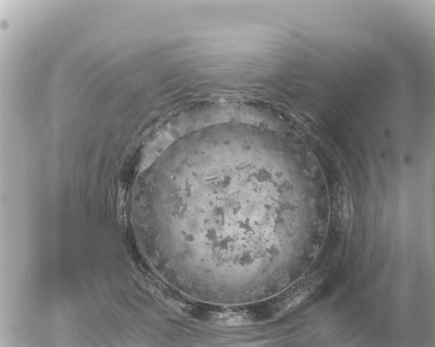 X0000056000511200508261753