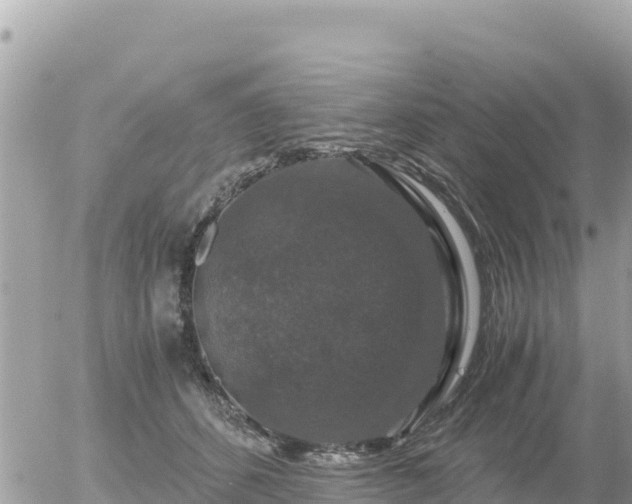 X0000056000512200508261753