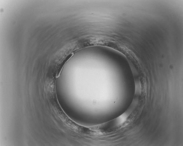 X0000056000513200508261753