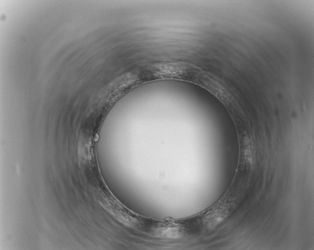 X0000056000514200508261753