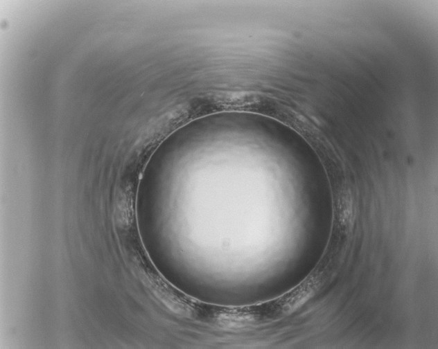 X0000056000515200508261753