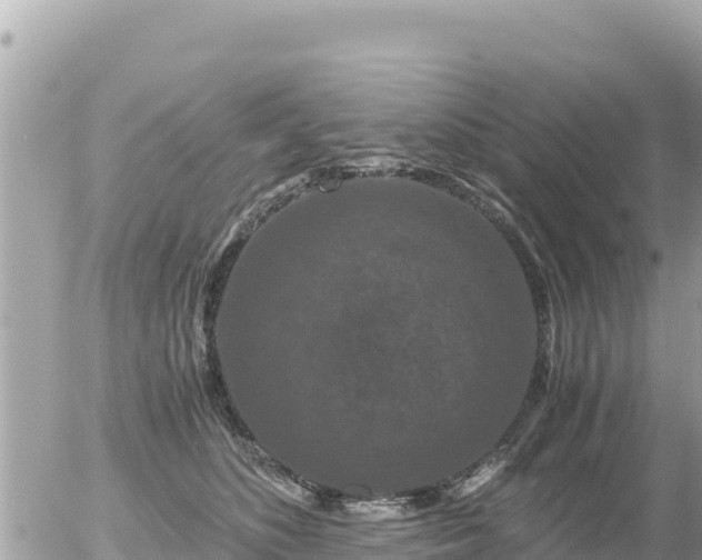 X0000056000516200508261753