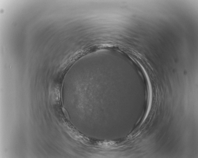 X0000056000517200508261753