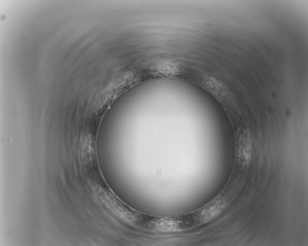 X0000056000518200508261753